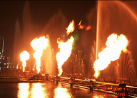 Особенность воды поверхностного огня воды/музыкальный тип света фонтана ДМС танцев поставщик